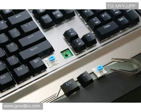 TTXin清兵的崛起与挑战解析：探索新势力在电竞领域的影响与未来发展