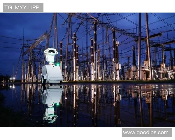 探索Wenbo的创新之路与未来发展潜力分析